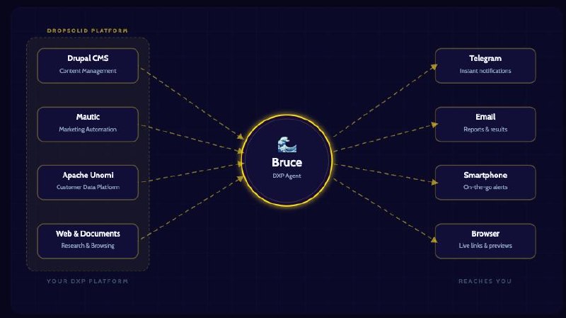 Bruce - DXP Agent connecting Drupal CMS, Mautic, Apache Unomi and Web to Telegram, Email, Smartphone and Browser