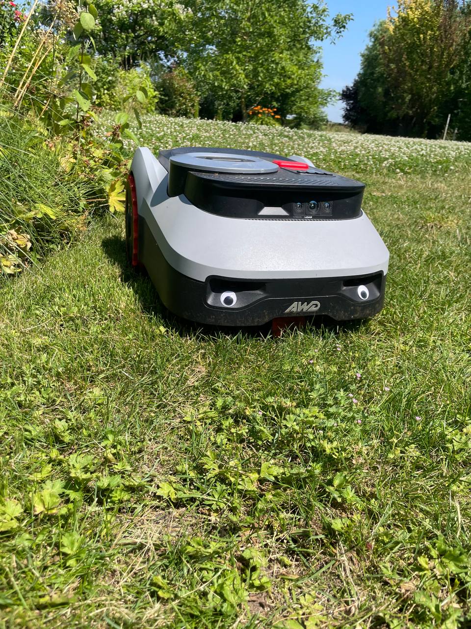 Franky the Segway Navimow AWD robotic mower with googly eyes, mowing in the garden on a sunny day, green grass and trees in the background